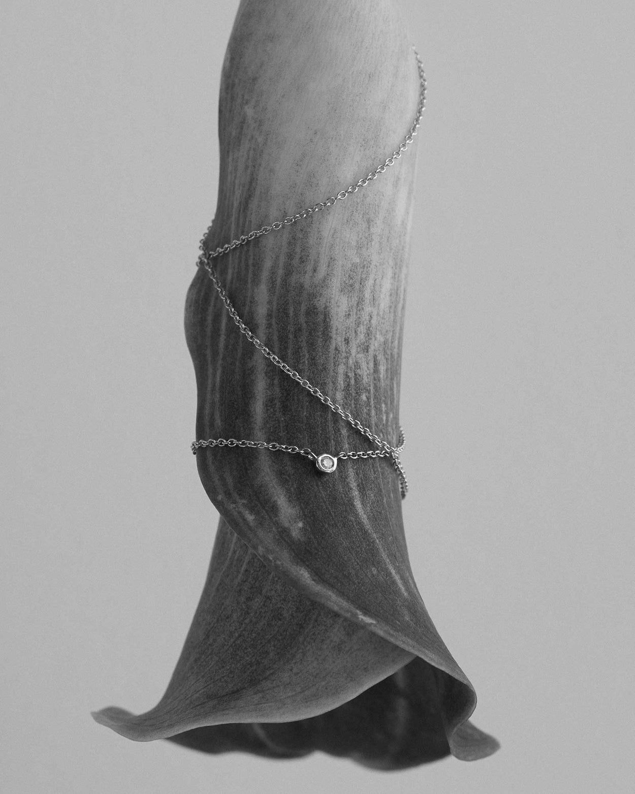 PETITE DIAMOND NECKLACE (STERLING SILVER) IMAGE 3