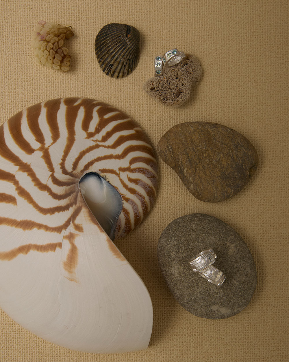 GLISTEN HOOPS (STERLING SILVER) IMAGE 3