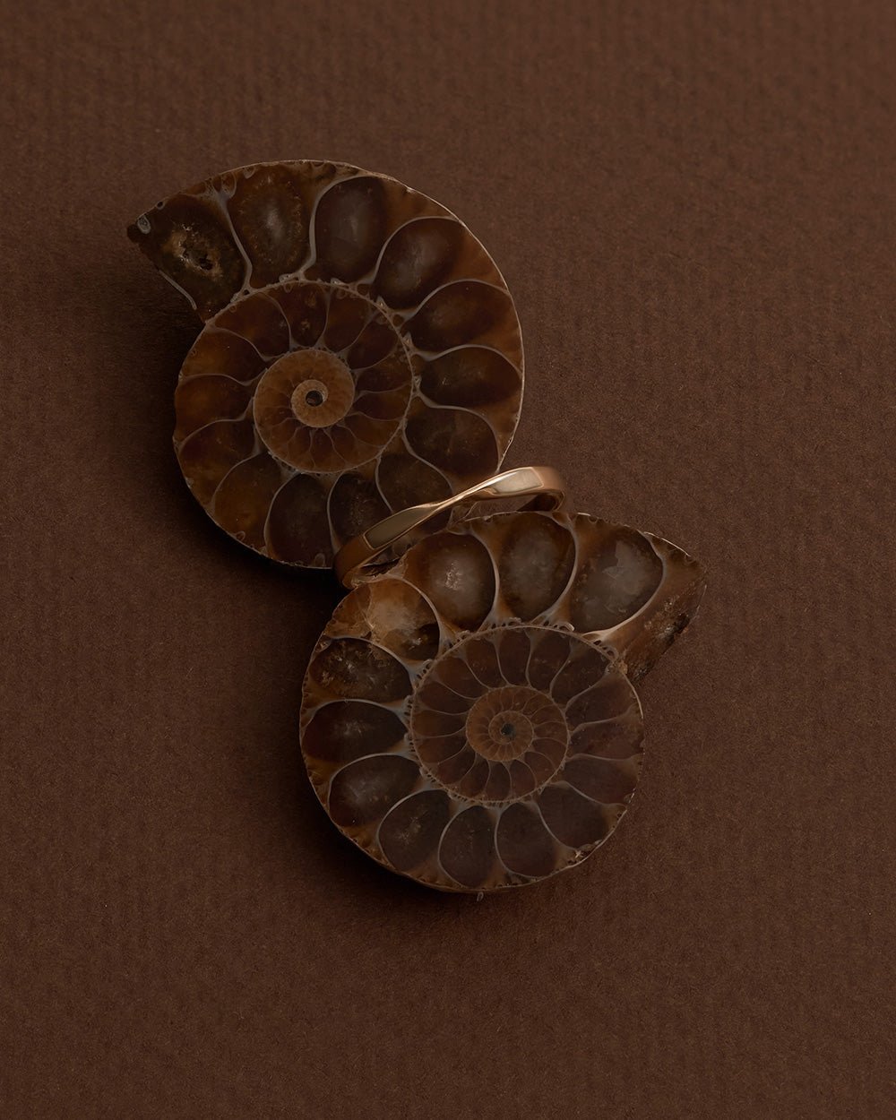 PETITE FOLD RING (9K GOLD) IMAGE 3