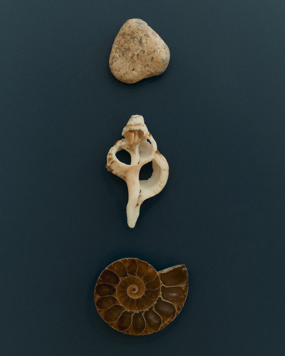 PLACE STUDS (STERLING SILVER)