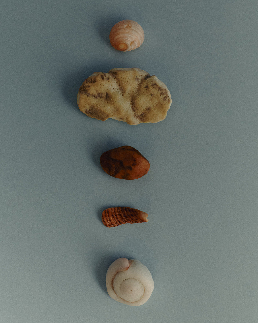 SOLARA BRACELET (STERLING SILVER) IMAGE 5