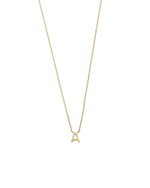 PETITE INITIAL NECKLACE (9K GOLD) IMAGE 1