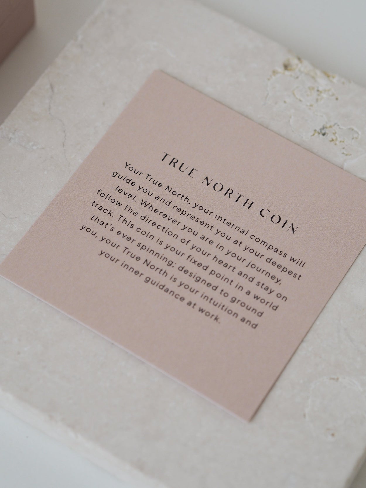 TINY TRUE NORTH COIN (18K GOLD VERMEIL) IMAGE 5