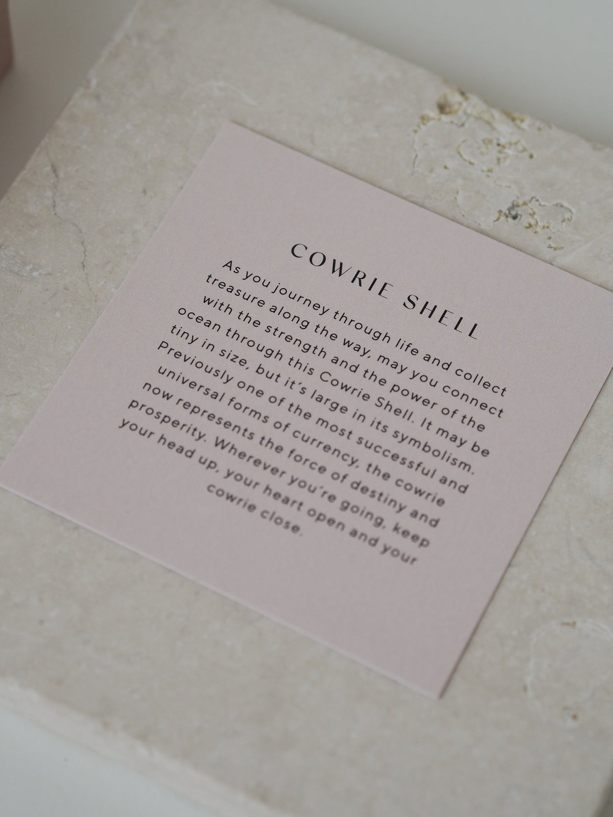 COWRIE SHELL CHARM (STERLING SILVER) IMAGE 4