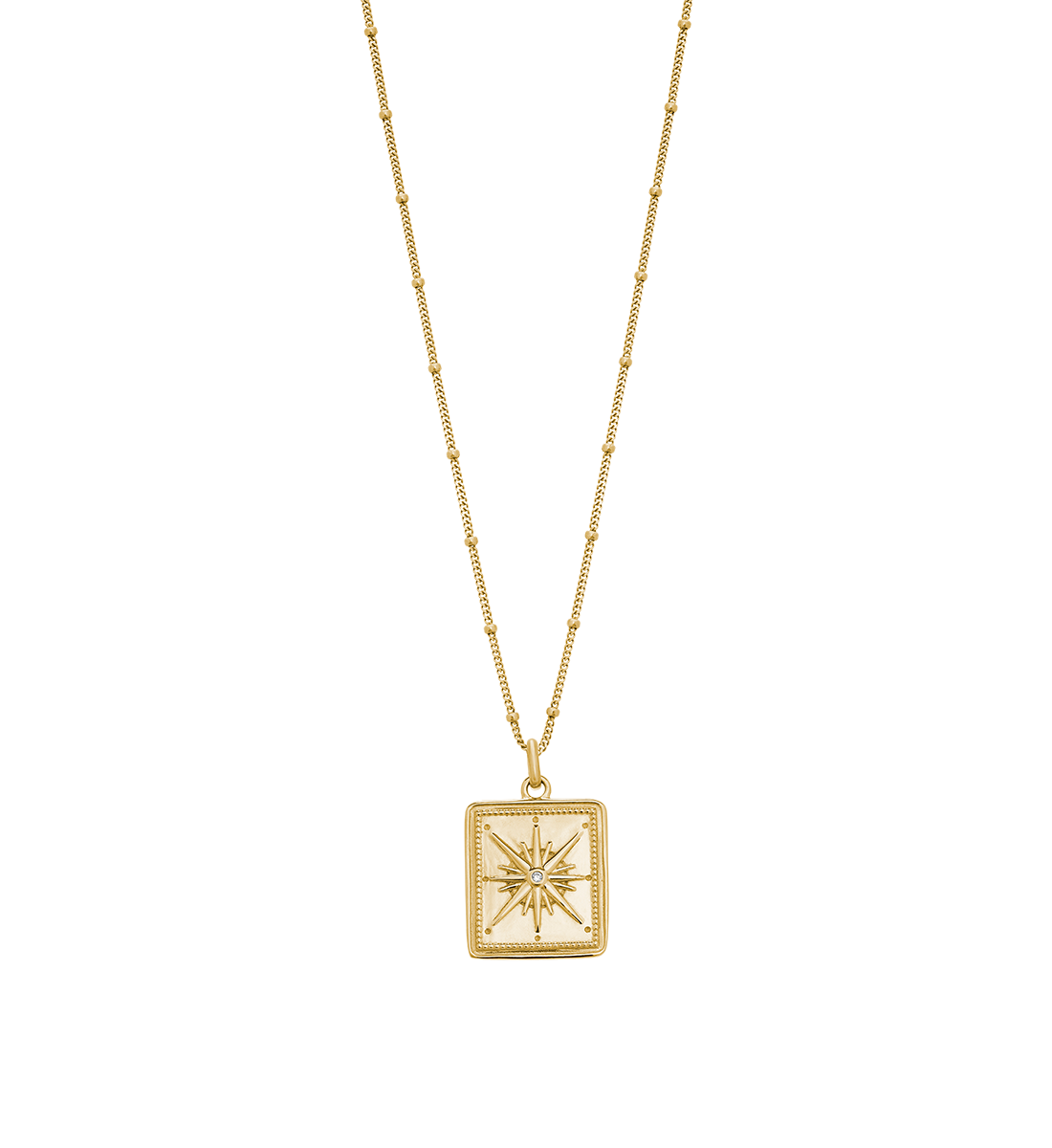 TRUE NORTH COIN NECKLACE (18K GOLD VERMEIL) IMAGE 1