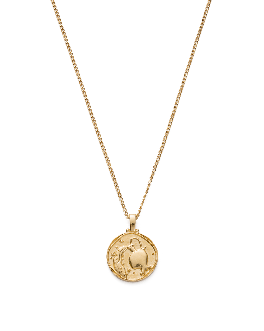 ZODIAC NECKLACE (18K GOLD VERMEIL) IMAGE 9