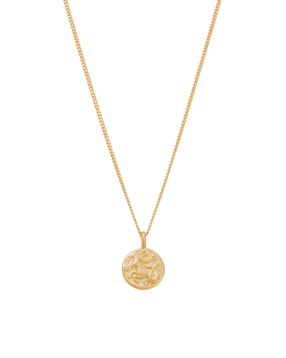 PETITE ZODIAC NECKLACE (18K GOLD VERMEIL)