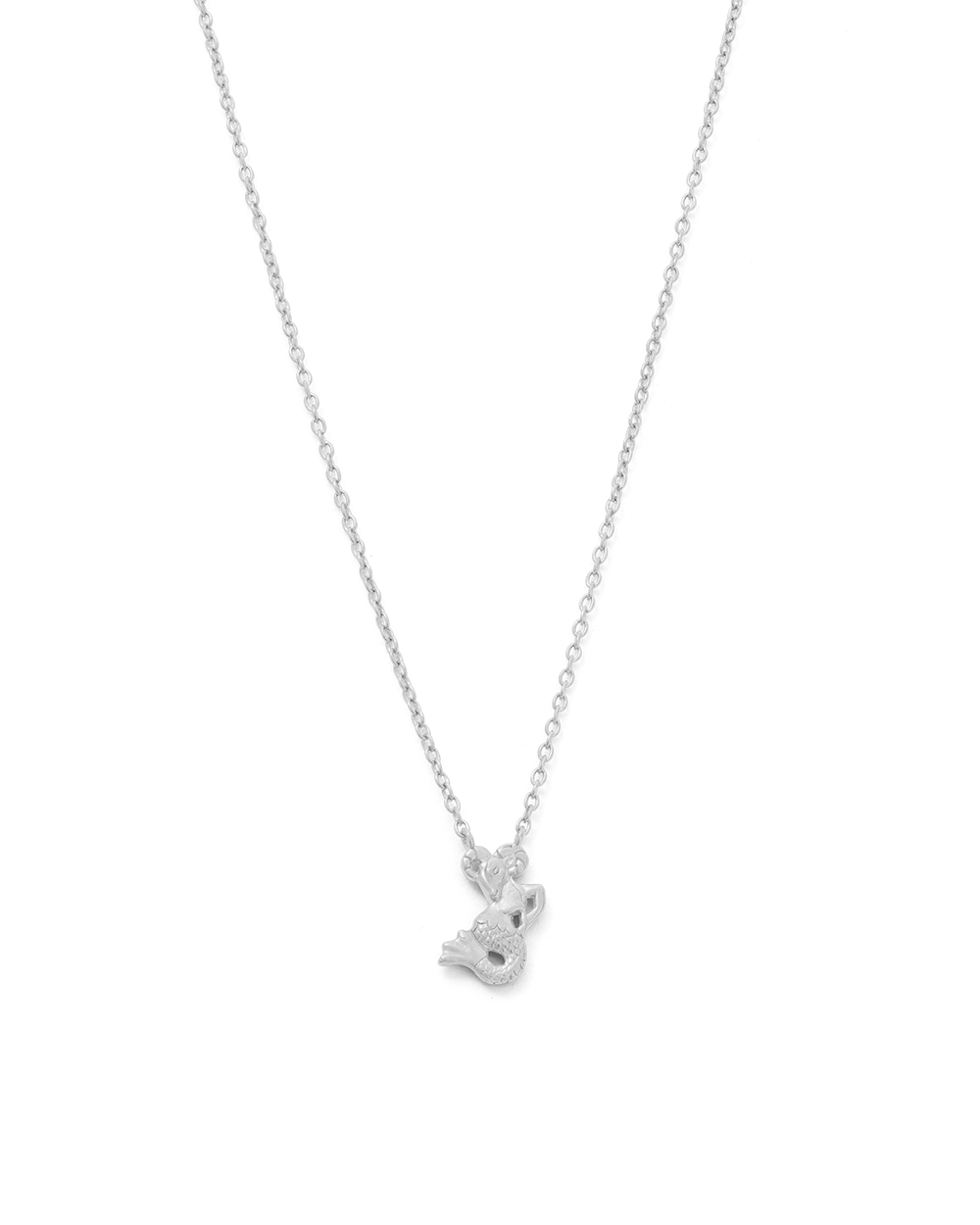 CAPRICORN STAR SIGN NECKLACE (STERLING SILVER) IMAGE 1