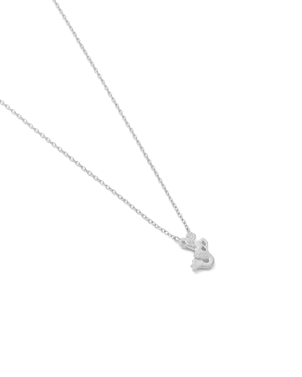 CAPRICORN STAR SIGN NECKLACE (STERLING SILVER) IMAGE 4