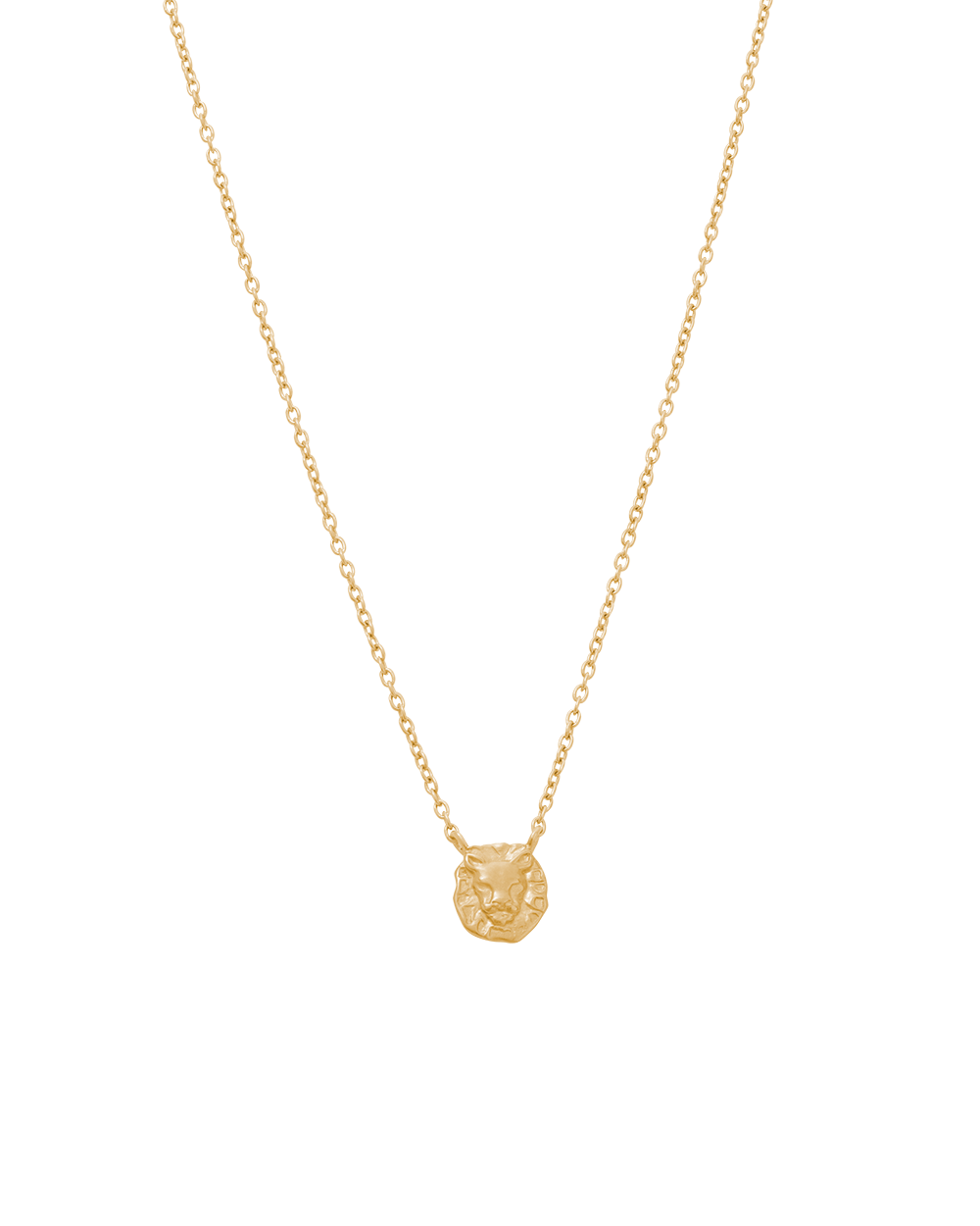 STAR SIGN NECKLACE (18K GOLD VERMEIL)