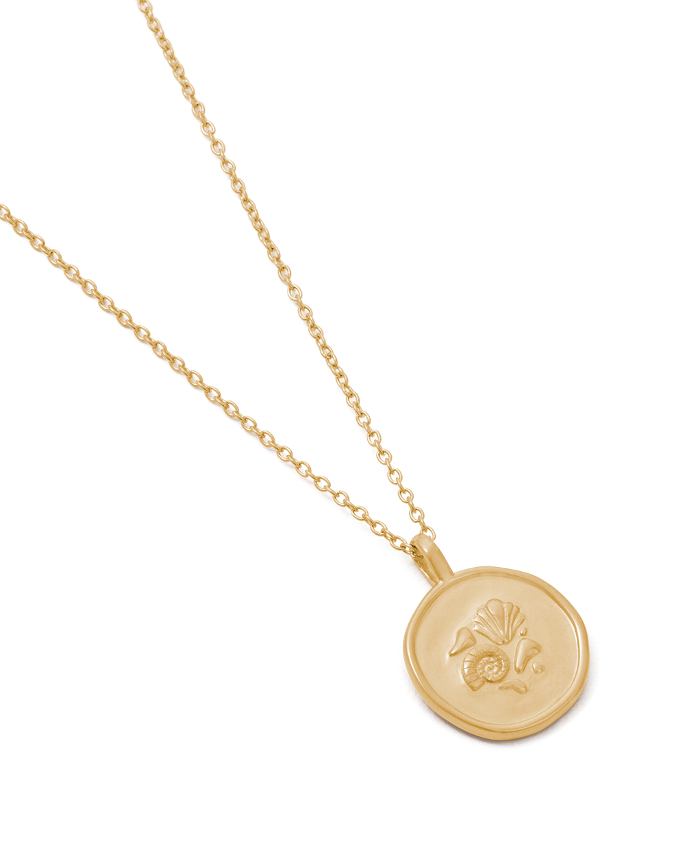 MEMOIR COIN NECKLACE (18K GOLD VERMEIL)