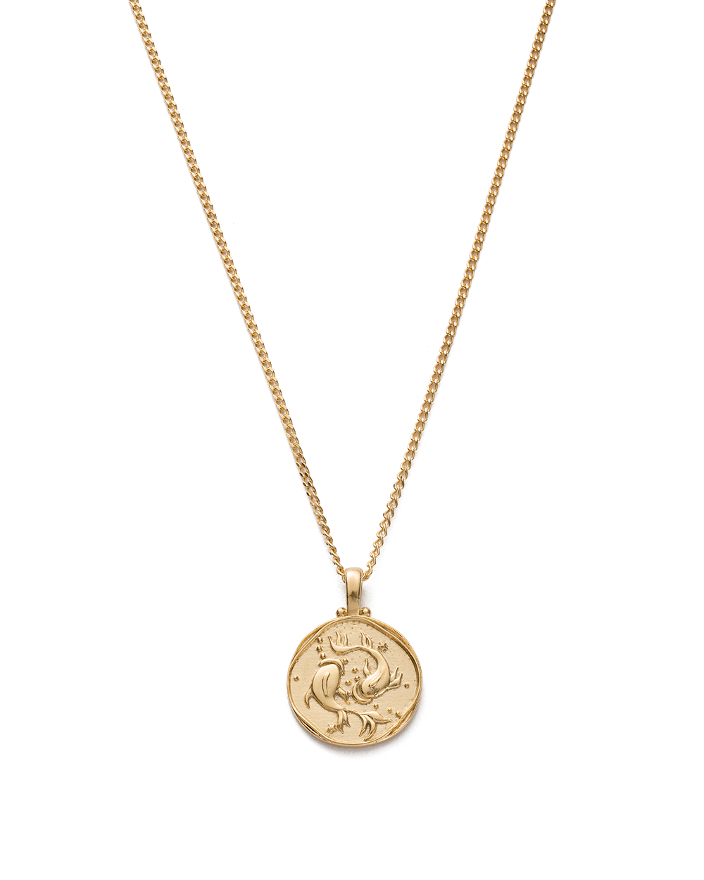 PISCES ZODIAC NECKLACE (18K GOLD VERMEIL) IMAGE 1