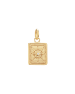 TINY TRUE NORTH COIN (18K GOLD VERMEIL) IMAGE 1